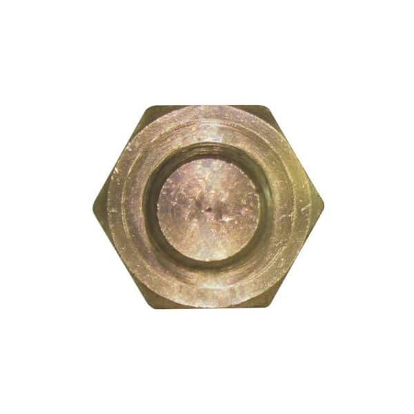 WS3028 - Imagen 5
