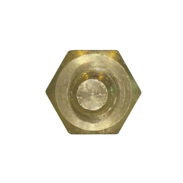 WS3029 - Imagen 3