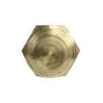 WS3032 - Imagen 3