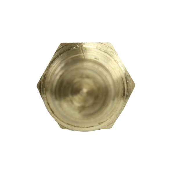 WS3032 - Imagen 3