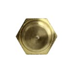 WS3035 - Imagen 3