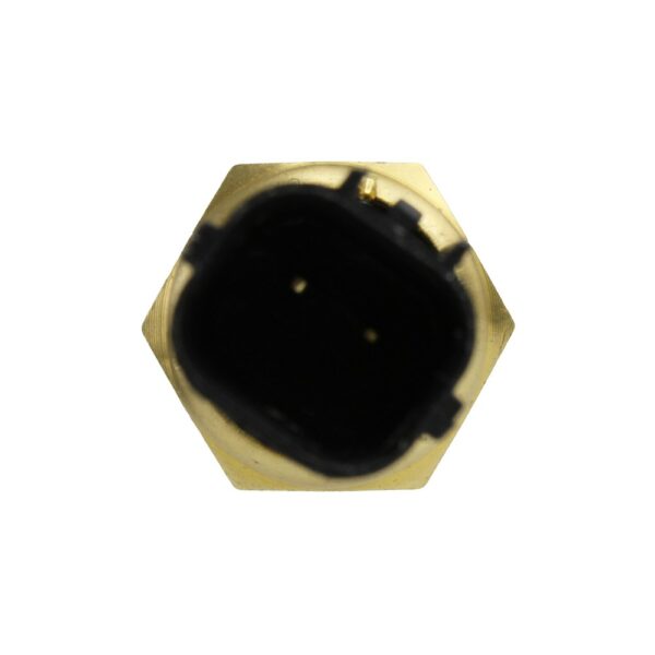 WS3036 - Imagen 2