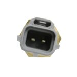 WS3038 - Imagen 2