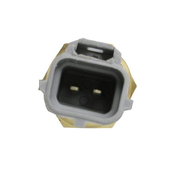 WS3038 - Imagen 2