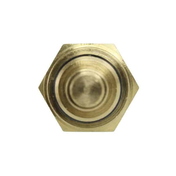 WS3038 - Imagen 3