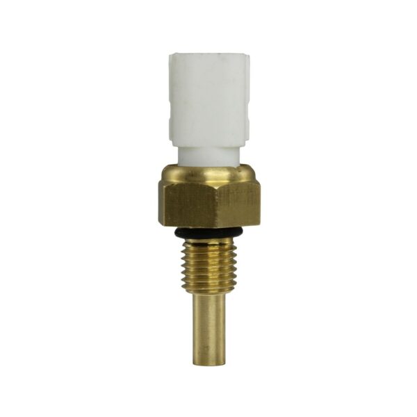 WS3039 - Imagen 4