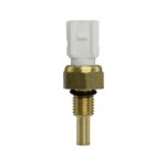 WS3039 - Imagen 6