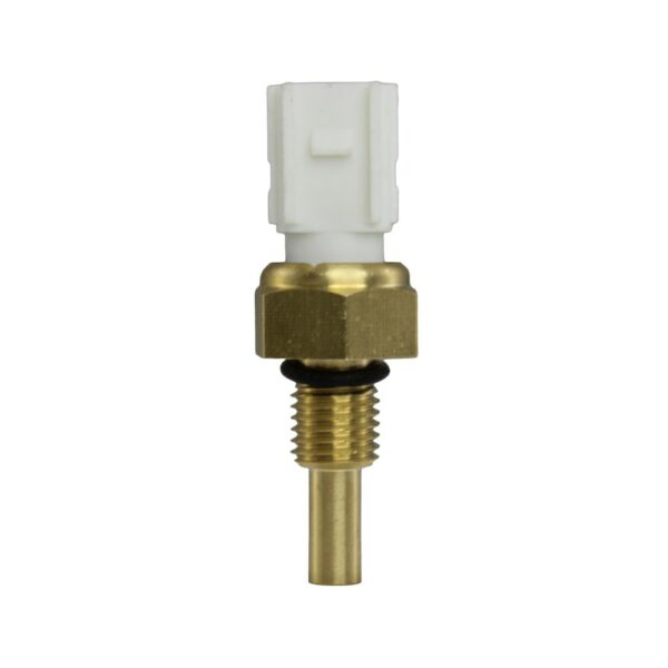 WS3039 - Imagen 6