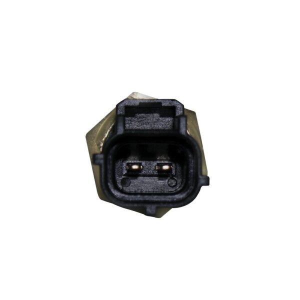 WS3041 - Imagen 2