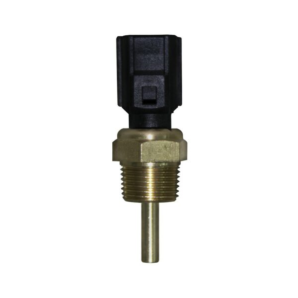 WS3041 - Imagen 4