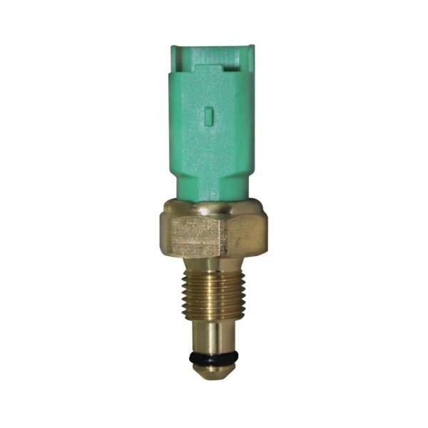 WS3056 - Imagen 4