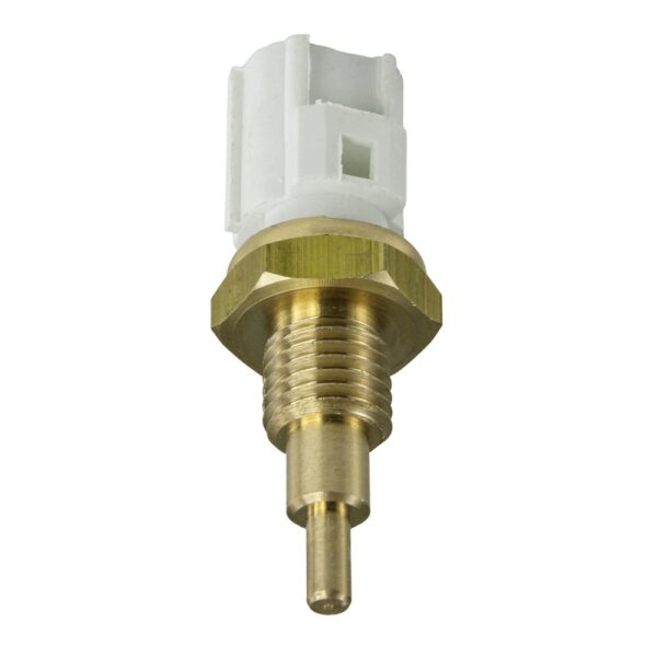 WS3068 - Imagen 1