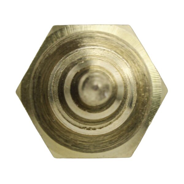 WS3068 - Imagen 3