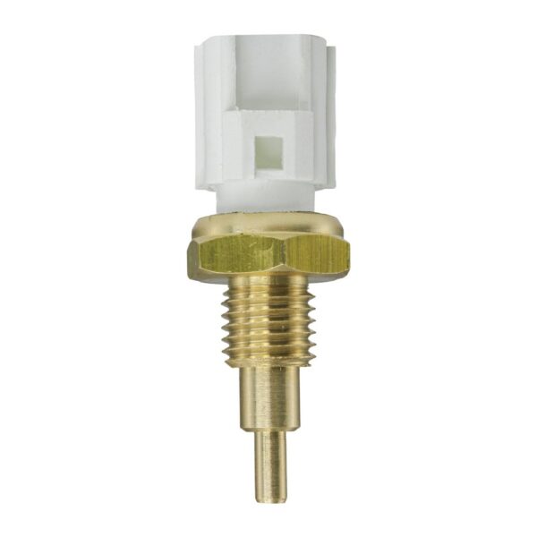 WS3068 - Imagen 4
