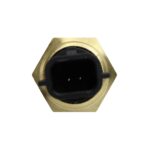 WS3081 - Imagen 2