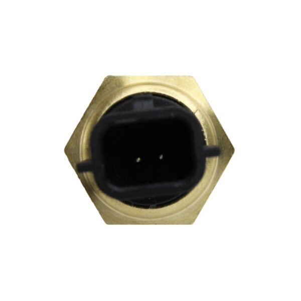 WS3081 - Imagen 2