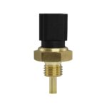 WS3081 - Imagen 4
