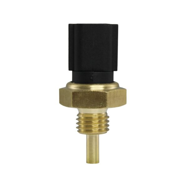 WS3081 - Imagen 4
