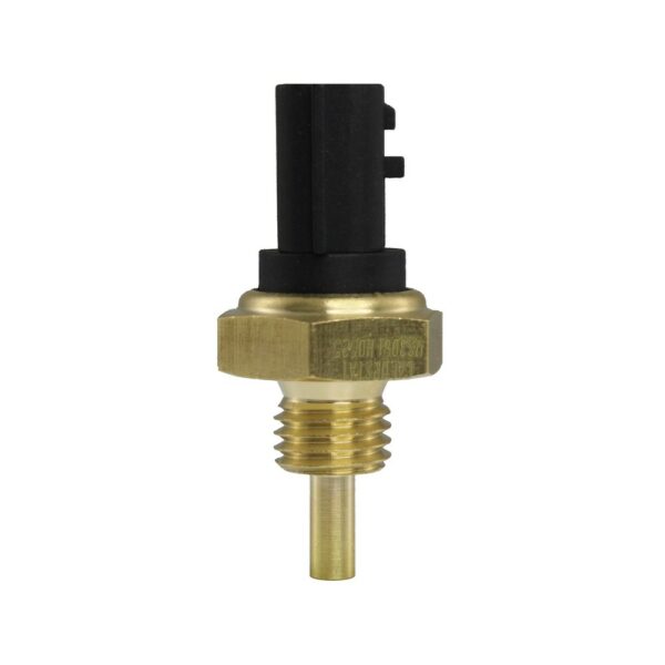 WS3081 - Imagen 5