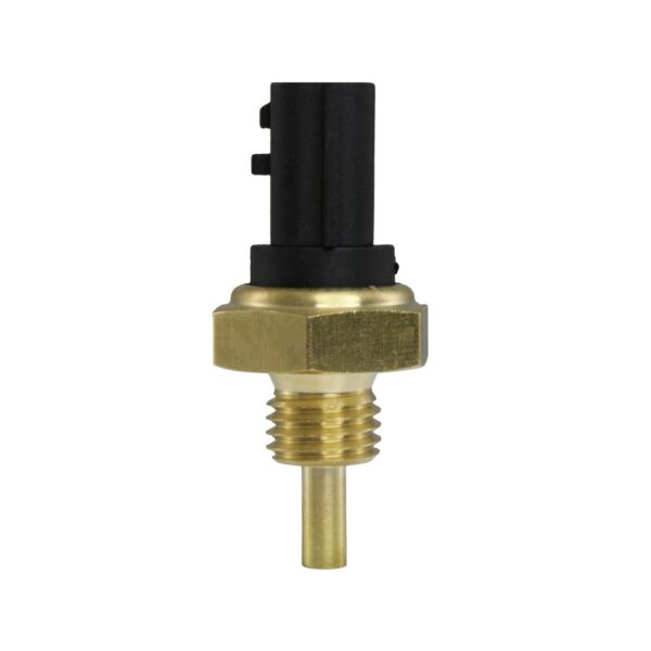 WS3081 - Imagen 7
