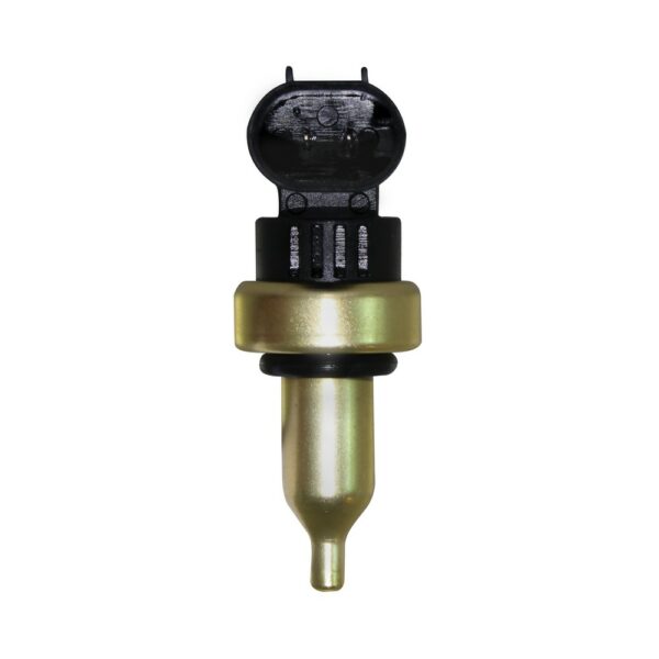 WS3086 - Imagen 2