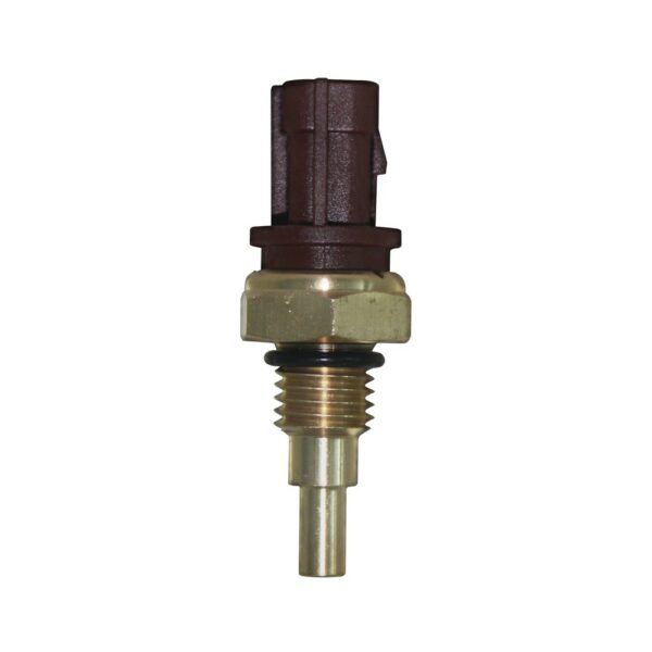 WS3093 - Imagen 4