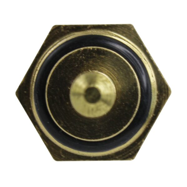 WS3101 - Imagen 3