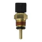 WS3101 - Imagen 4