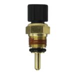 WS3101 - Imagen 5