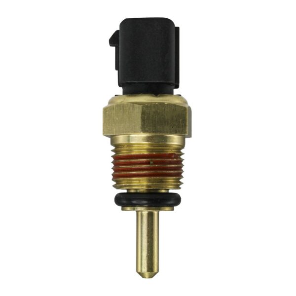 WS3101 - Imagen 6