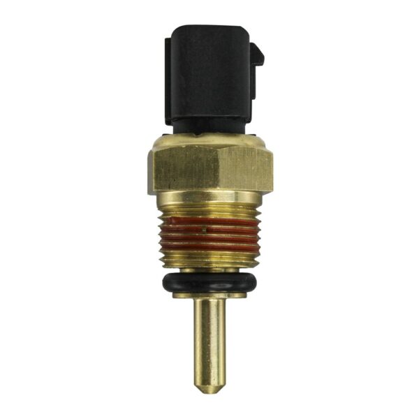 WS3101 - Imagen 7