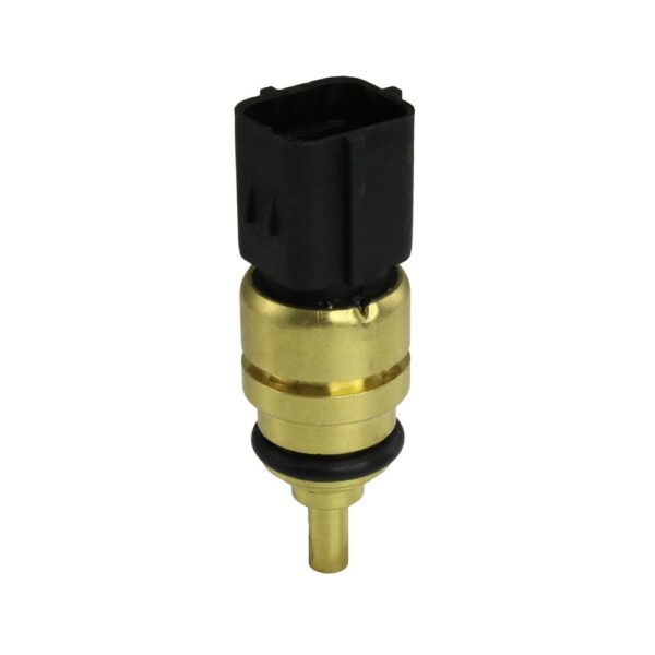 WS3103 - Imagen 1