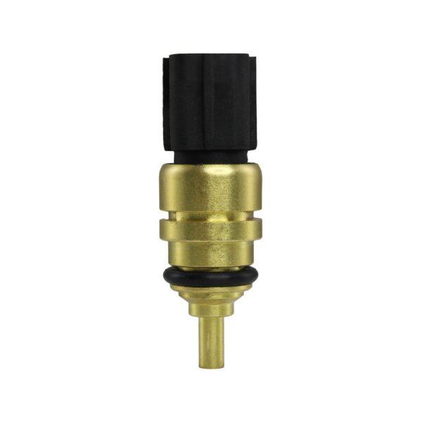 WS3103 - Imagen 5