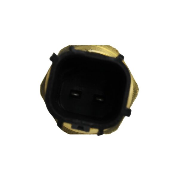 WS3134 - Imagen 2