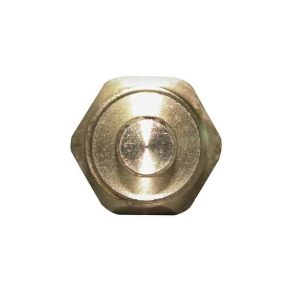 WS3167 - Imagen 3
