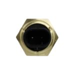 WS3171 - Imagen 2