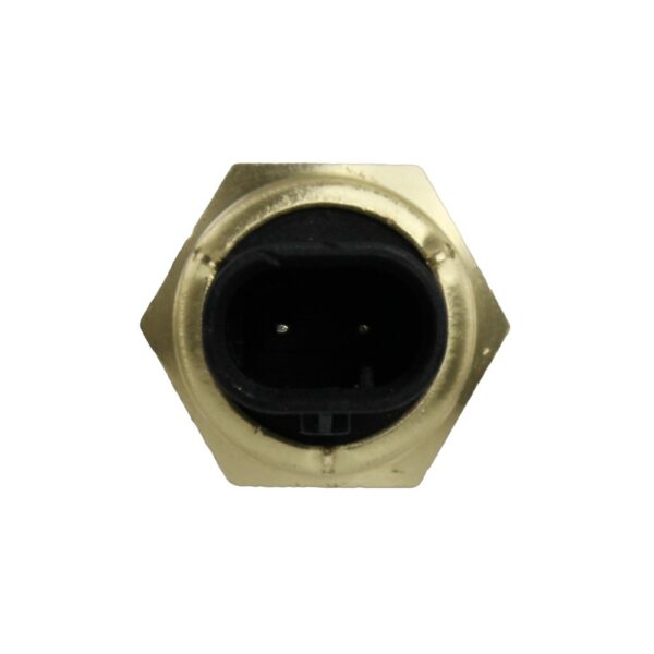 WS3171 - Imagen 2