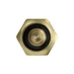WS3174 - Imagen 2