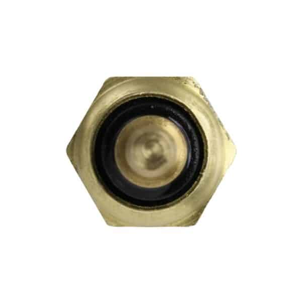 WS3174 - Imagen 2