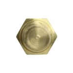 WS3174 - Imagen 3