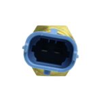WS3181 - Imagen 2