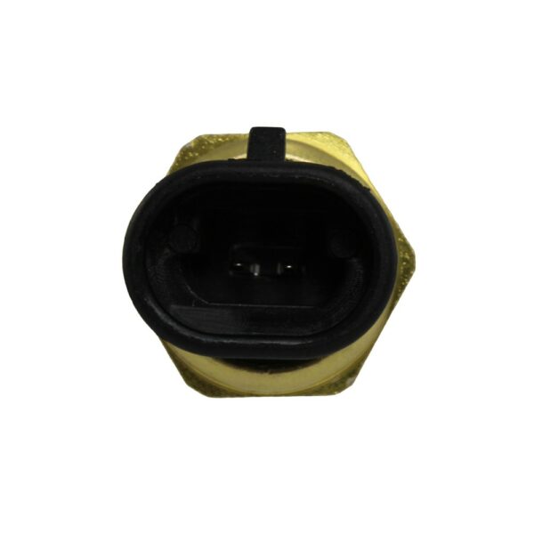 WS3182 - Imagen 2