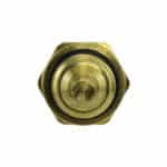 WS3182 - Imagen 3