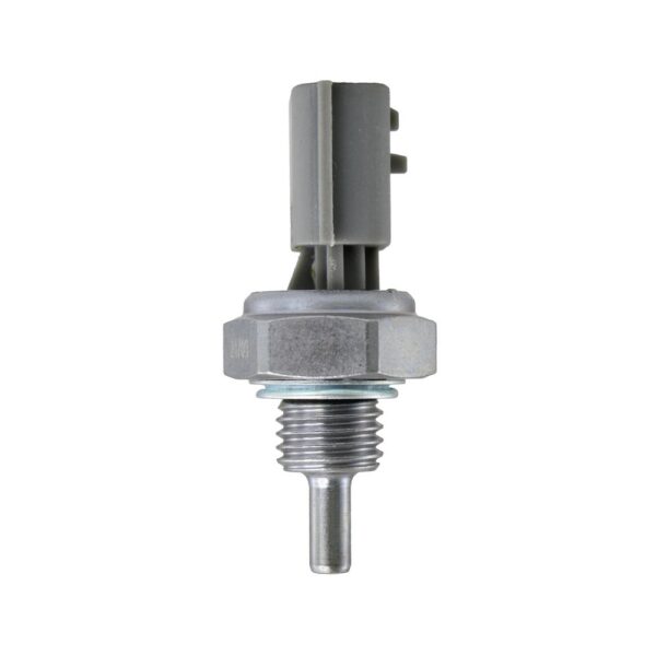 WS3183 - Imagen 3