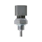 WS3183 - Imagen 4
