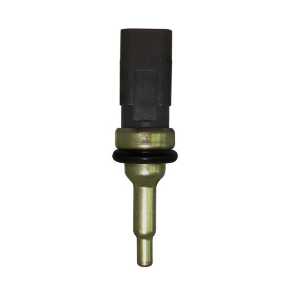 WS3184 - Imagen 3