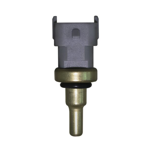 WS3189 - Imagen 2