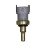 WS3189 - Imagen 3