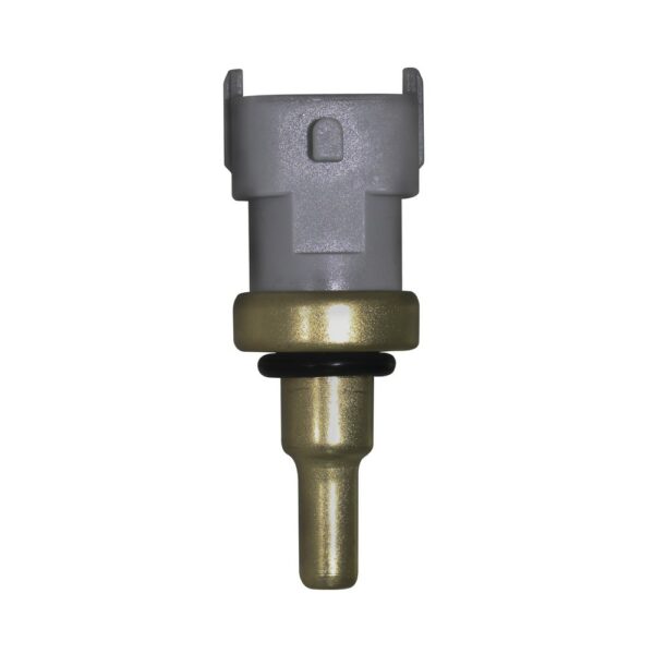 WS3189 - Imagen 3