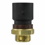 TS2681 - Imagen 4